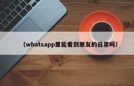 （whatsapp里能看到朋友的日常吗）