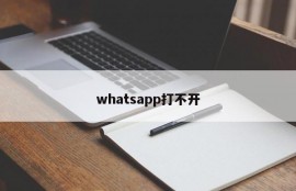whatsapp打不开