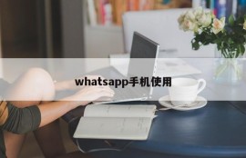 whatsapp手机使用