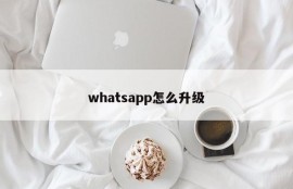 whatsapp怎么升级