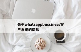 关于whatsappbussiness客户系统的信息