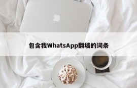 包含我WhatsApp翻墙的词条