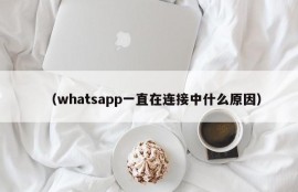 （whatsapp一直在连接中什么原因）