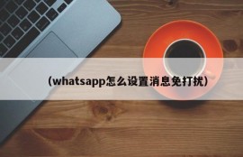 （whatsapp怎么设置消息免打扰）