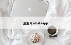 企业用whatsapp