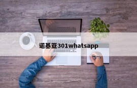 诺基亚301whatsapp