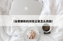 （谷歌删除的浏览记录怎么找回）