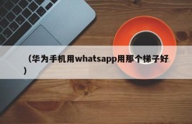 （华为手机用whatsapp用那个梯子好）