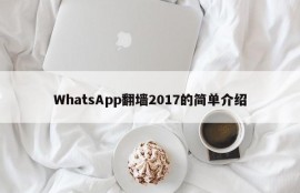 WhatsApp翻墙2017的简单介绍
