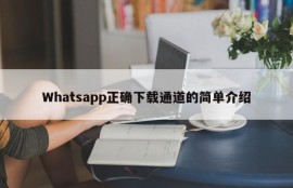 Whatsapp正确下载通道的简单介绍