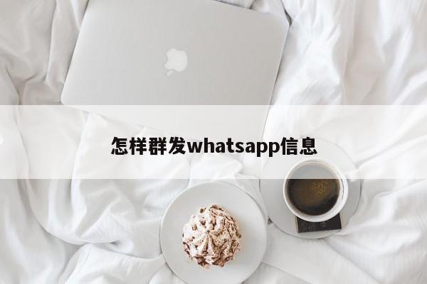 怎样群发whatsapp信息