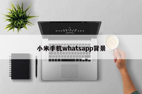小米手机whatsapp背景