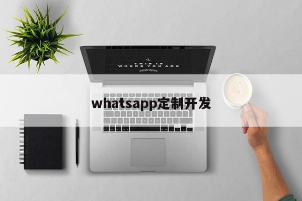 whatsapp定制开发