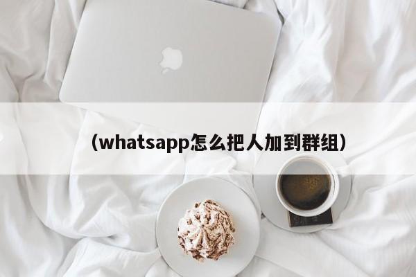 (whatsapp怎么把人加到群组)